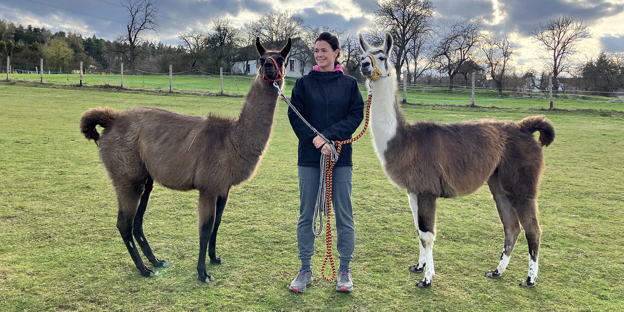 Stáj Merlin - ventip.cz