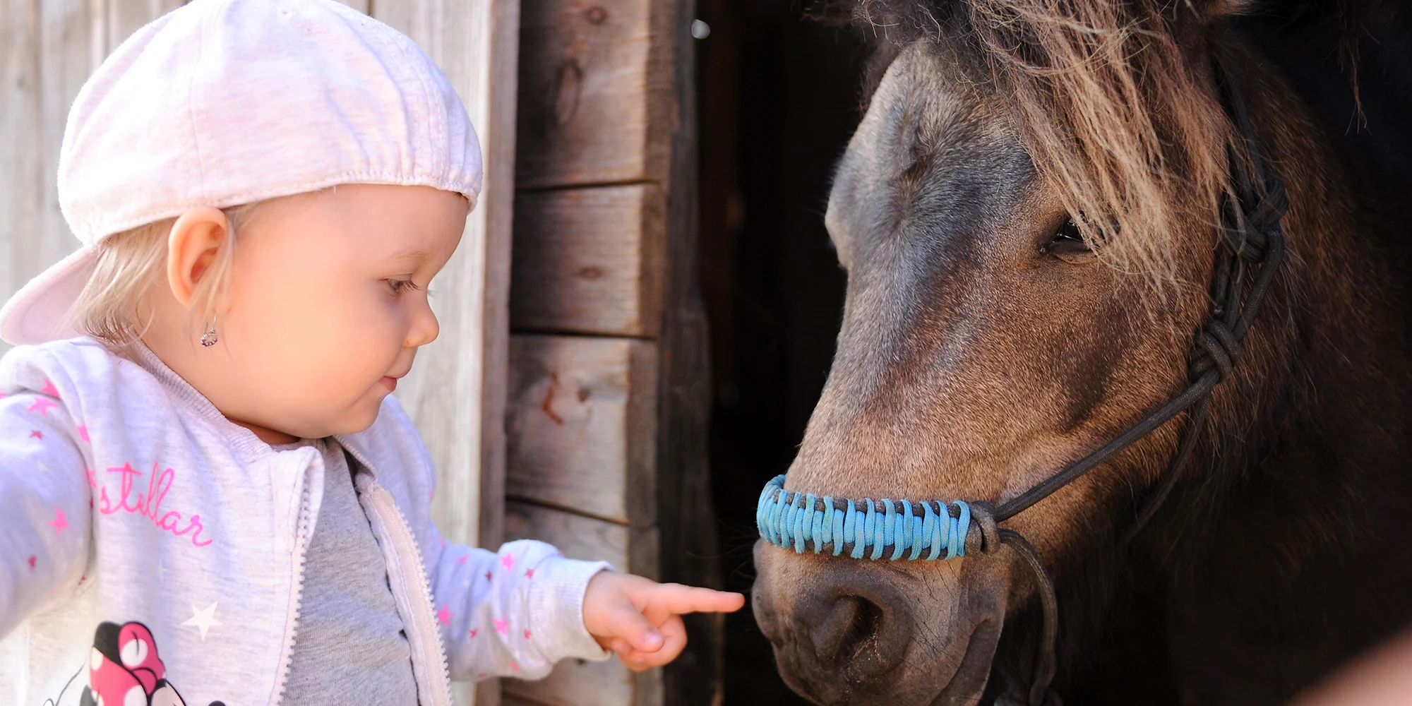 Stáj Merlin - ventip.cz