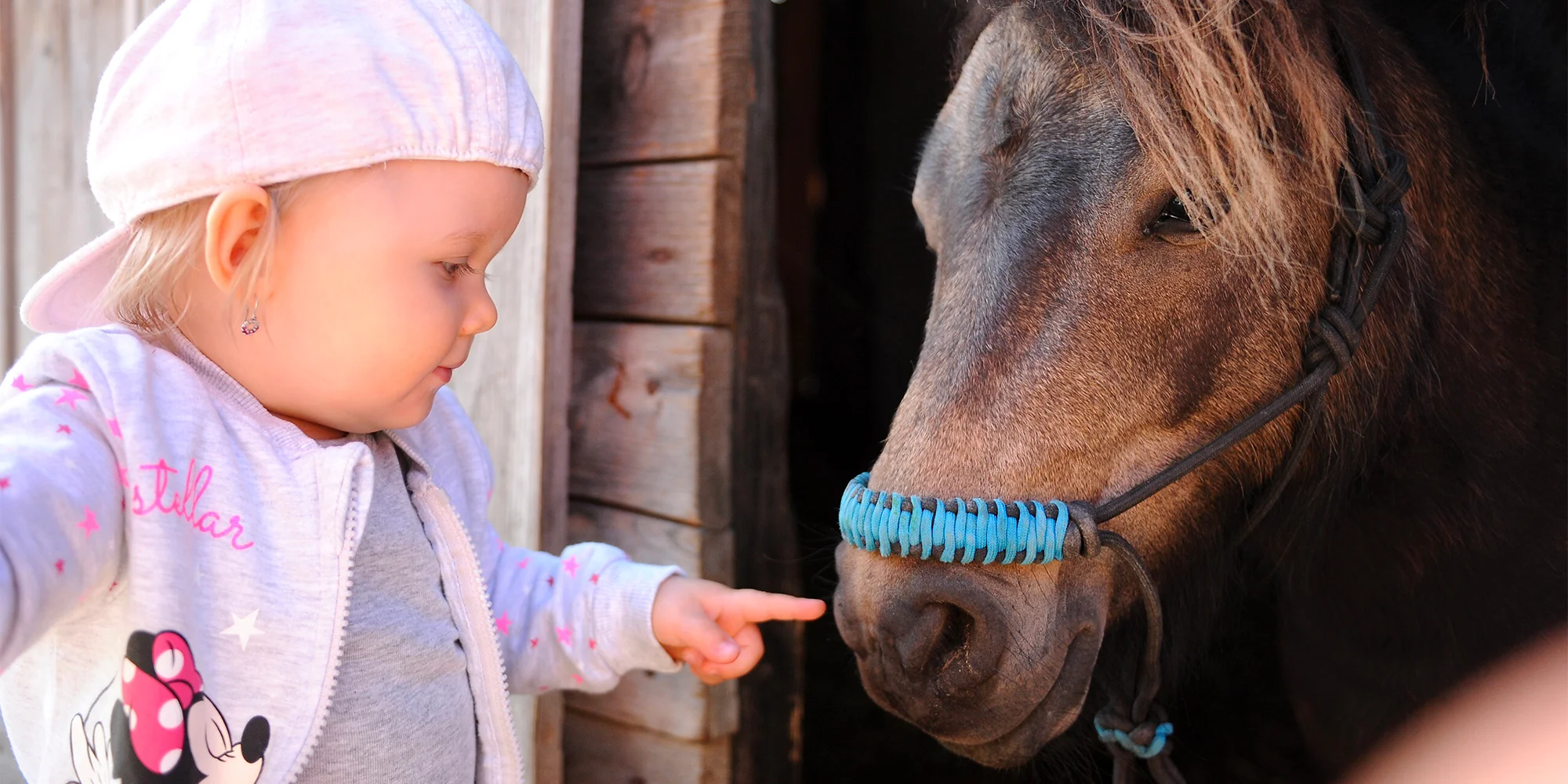 Stáj Merlin - ventip.cz