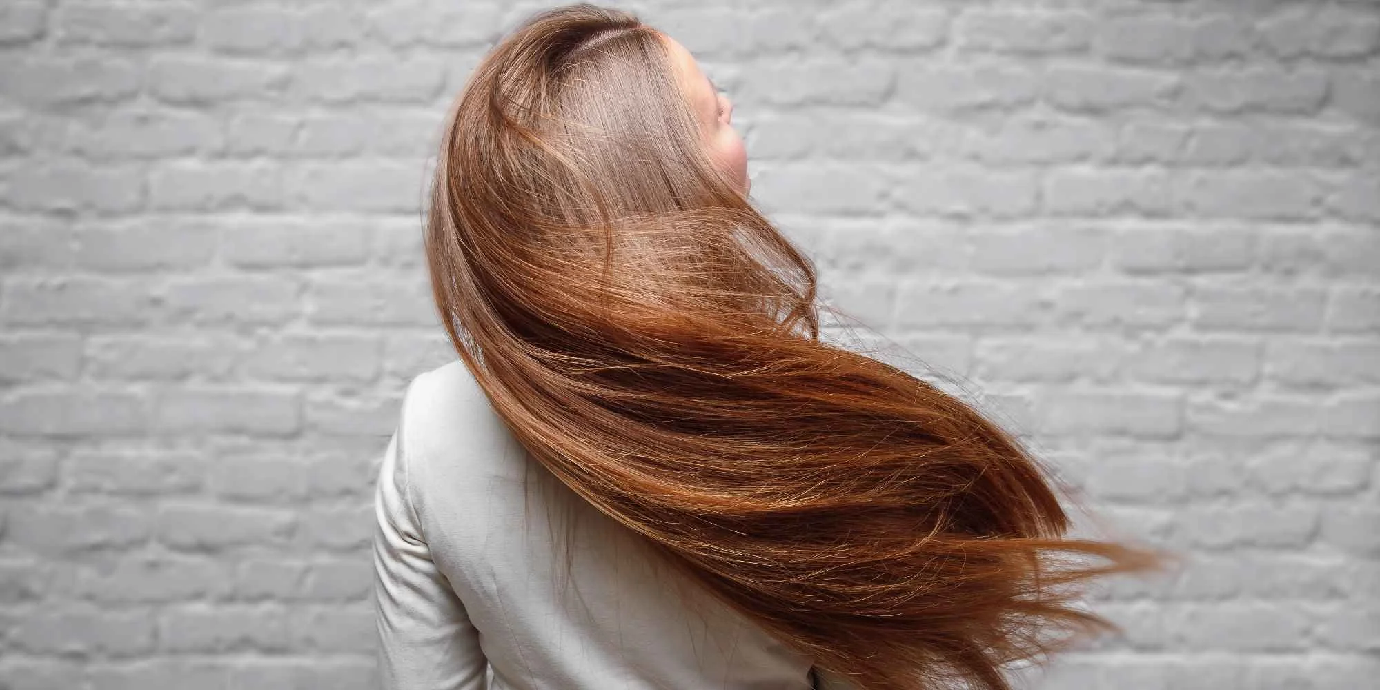 Studio Harmonia - ventip.cz