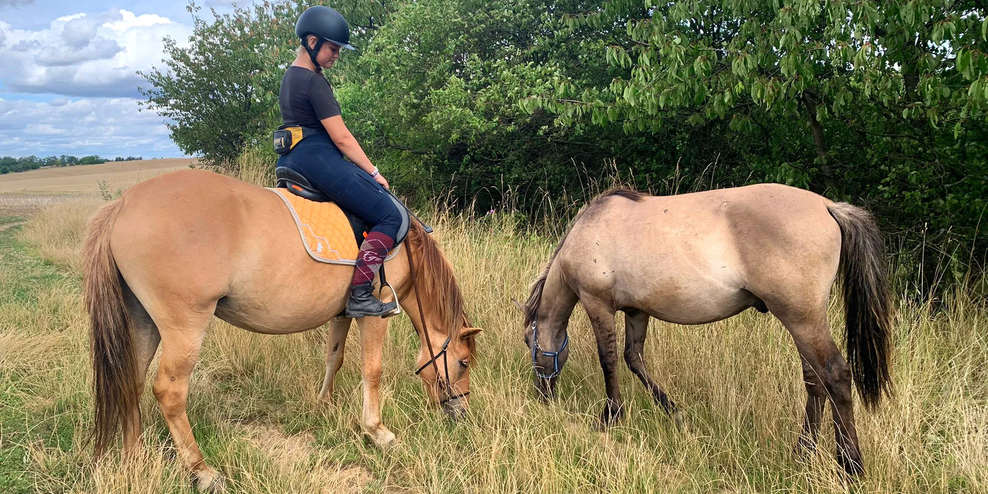 Vyjížďky s Andy - ventip.cz