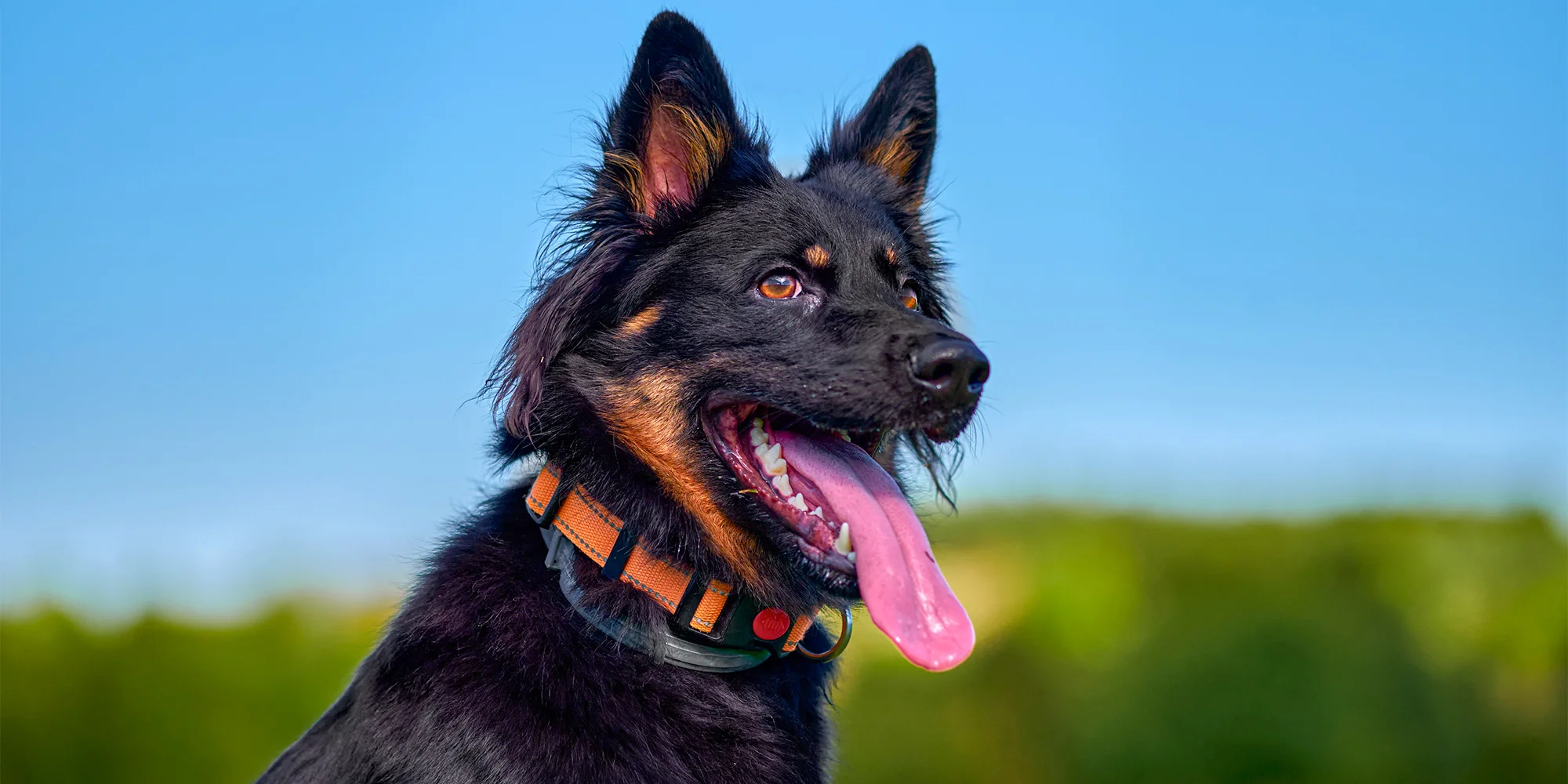 alex_foto_praha - ventip.cz