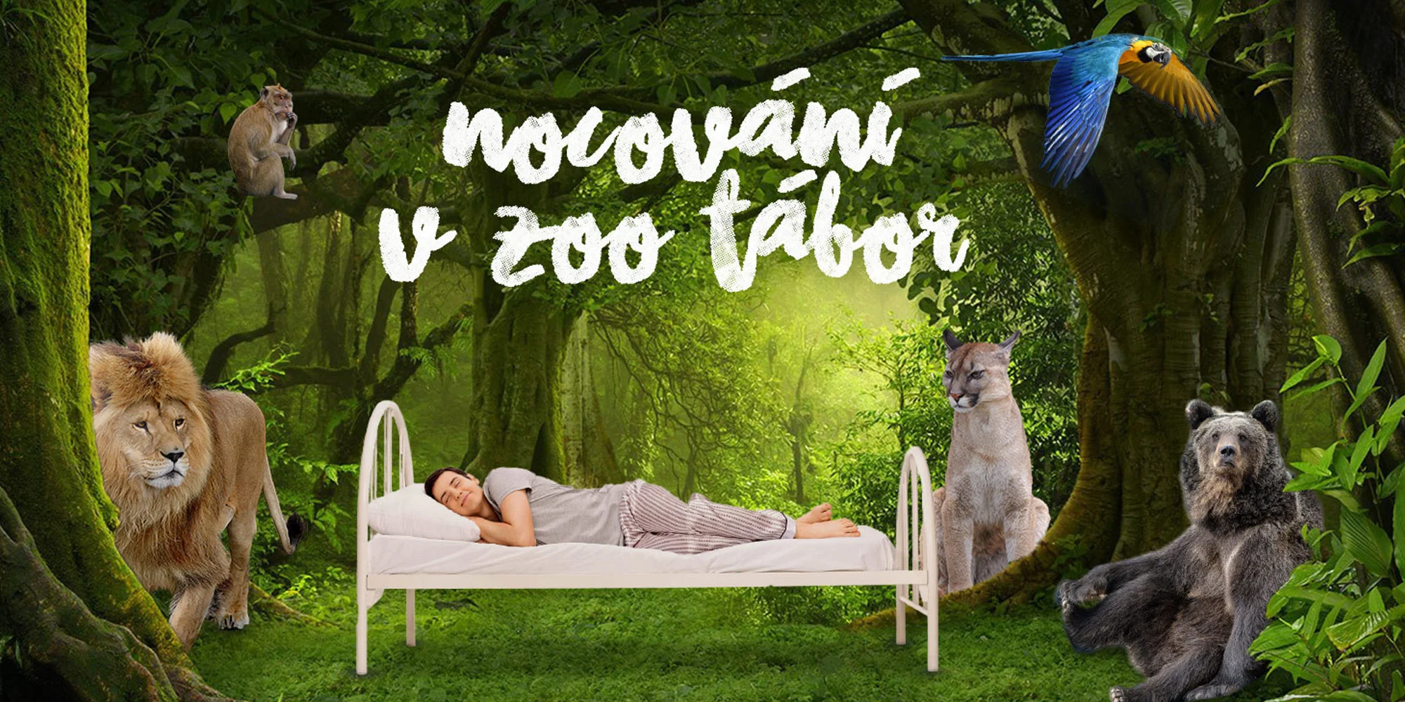 Apartmány ZOO Tábor - ventip.cz