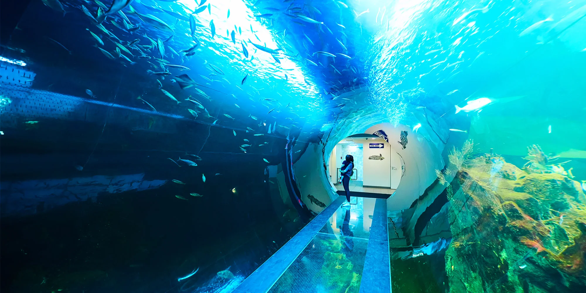 CA Orbit travel - ventip.cz