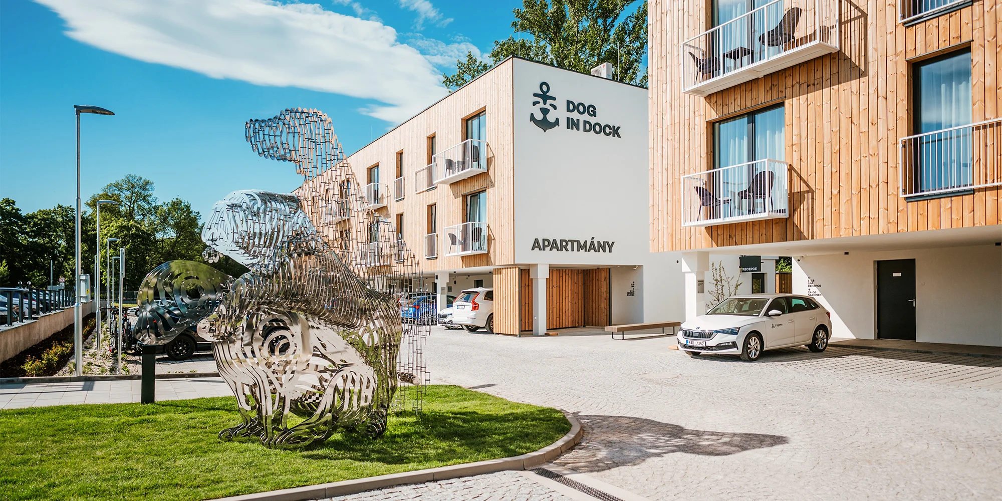 Dog in Dock - ventip.cz