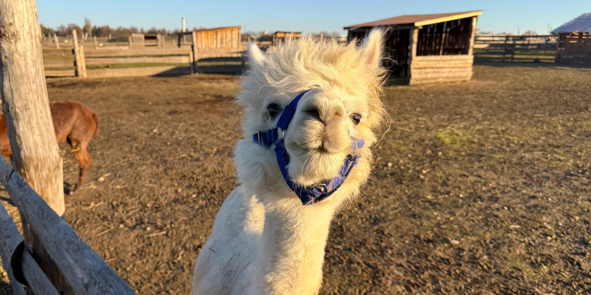 Farmapark Dobřany - ventip.cz