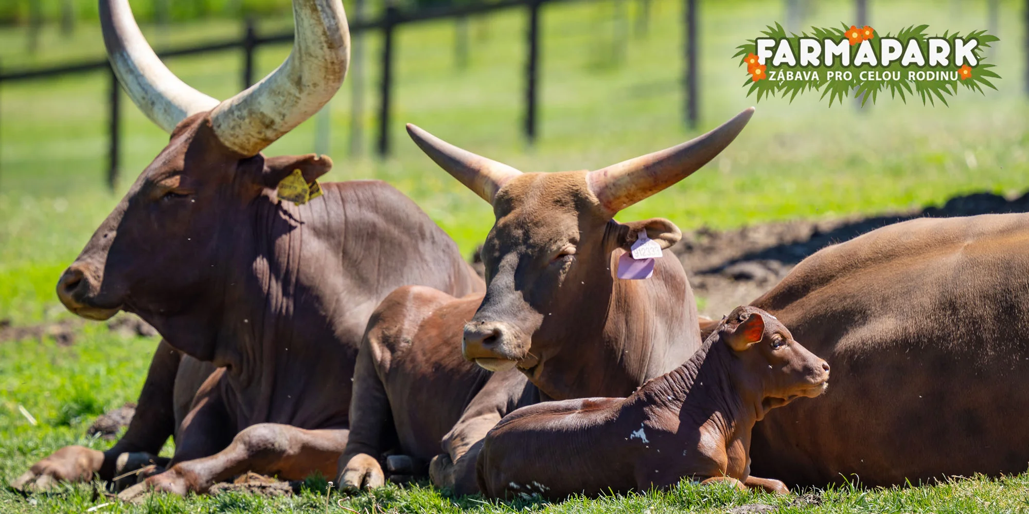 Farmapark Soběhrdy - ventip.cz