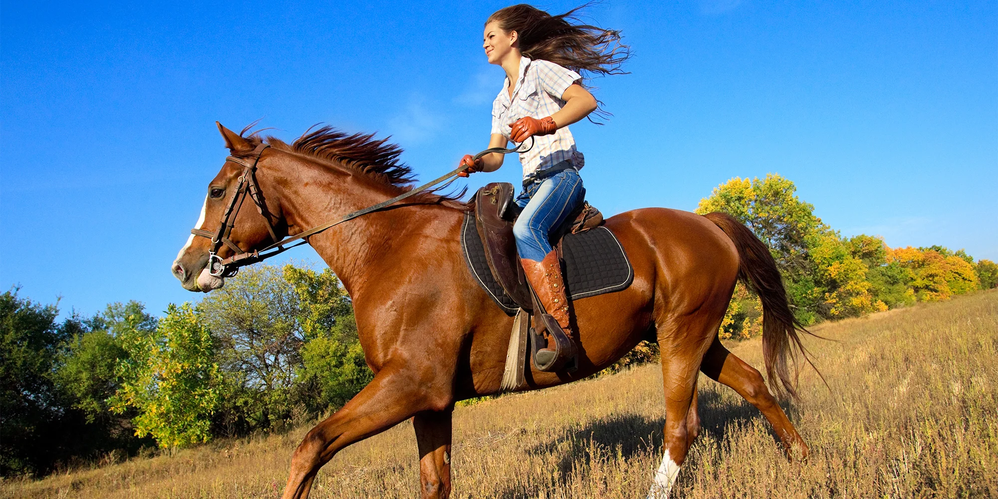 Jezdecký klub šance