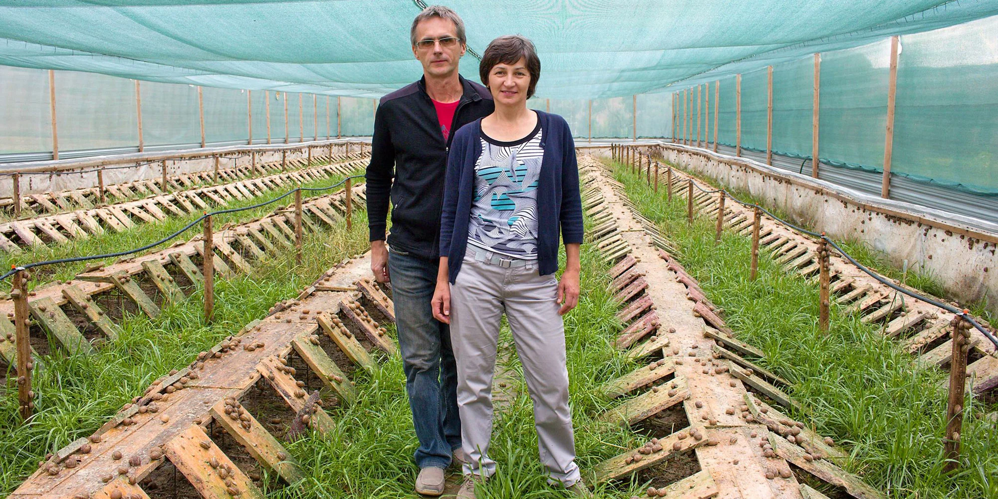 Šneci z Rybníčku - ventip.cz