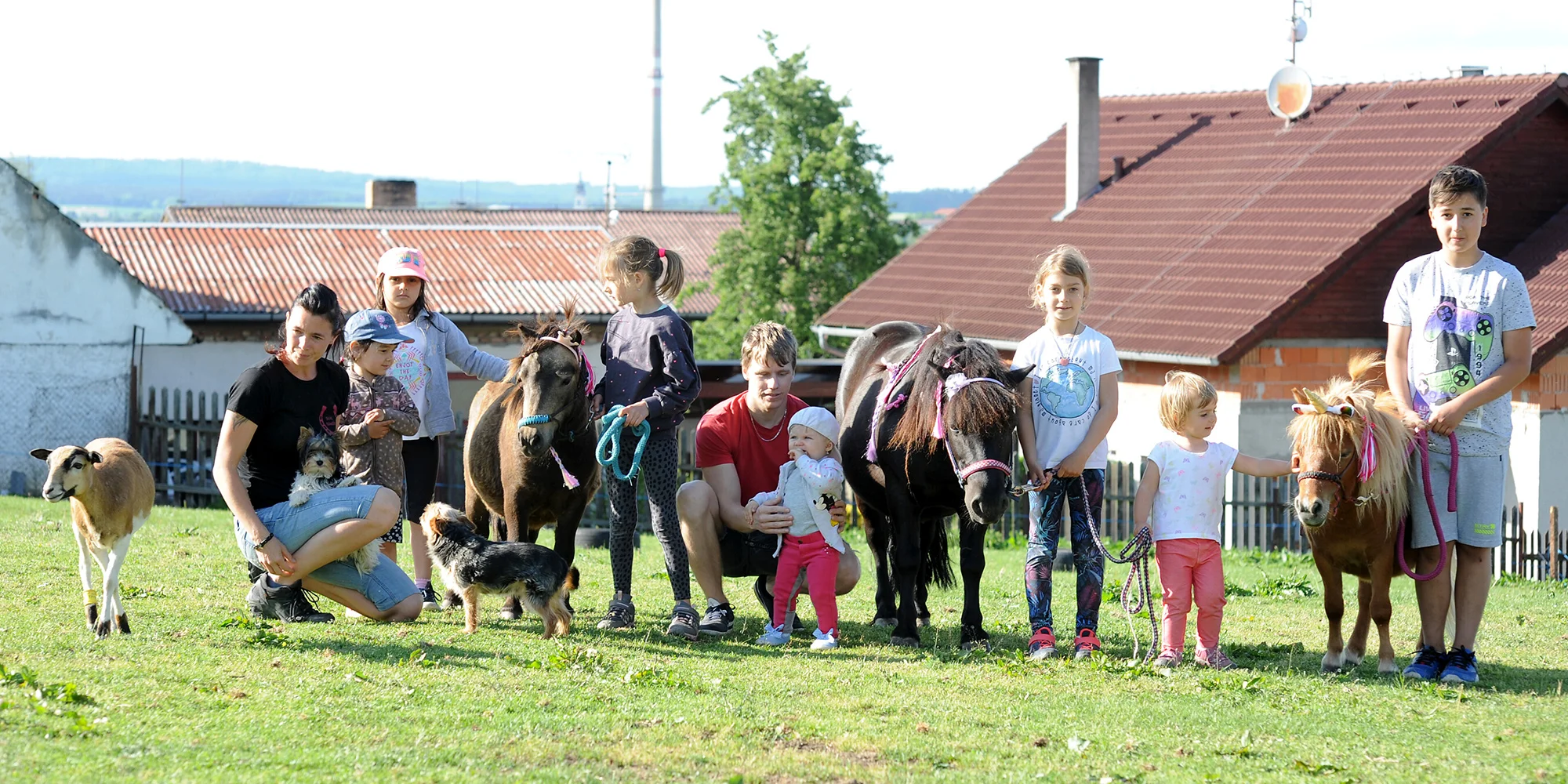 Stáj Merlin - ventip.cz