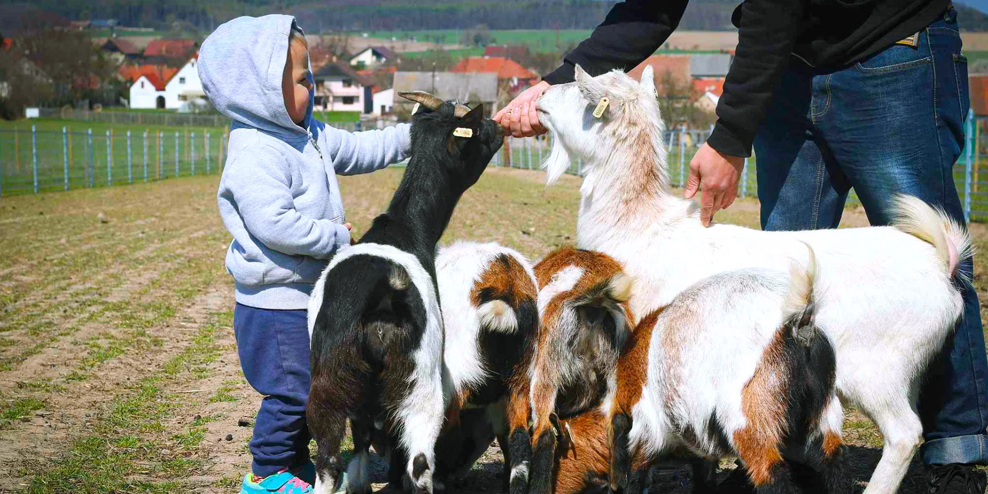 Statek u Merlina - ventip.cz