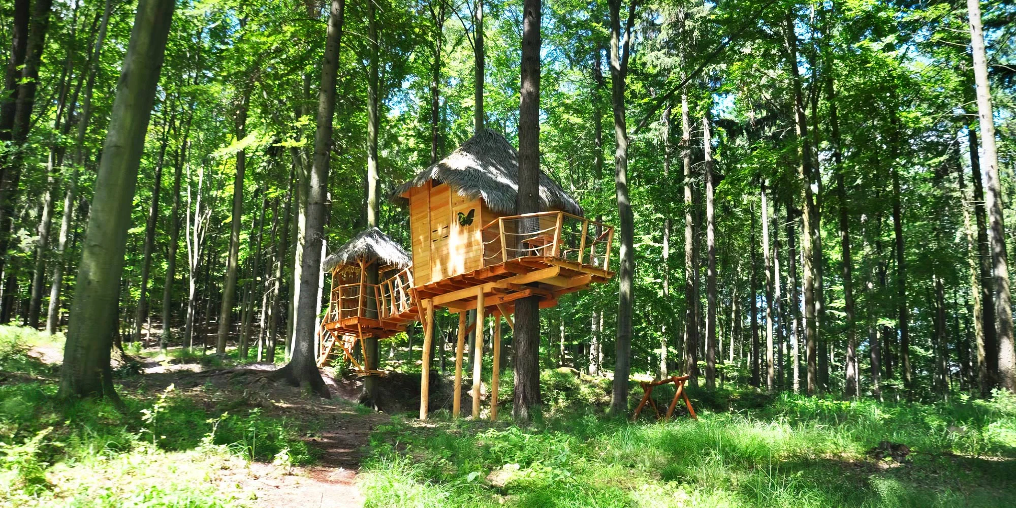 Treehouse Sojčí hnízdo - ventip.cz