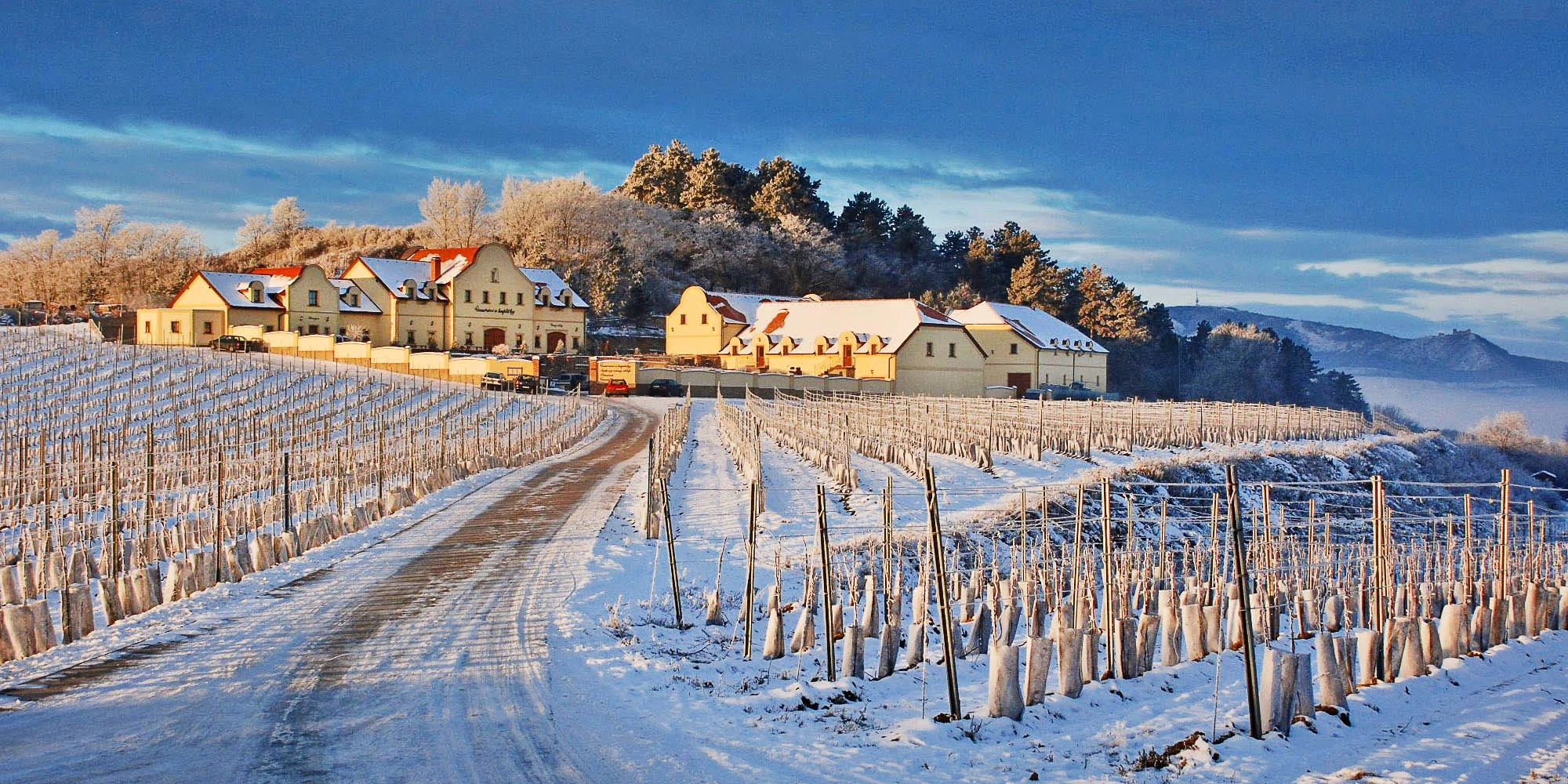 Vinařství U Kapličky - ventip.cz