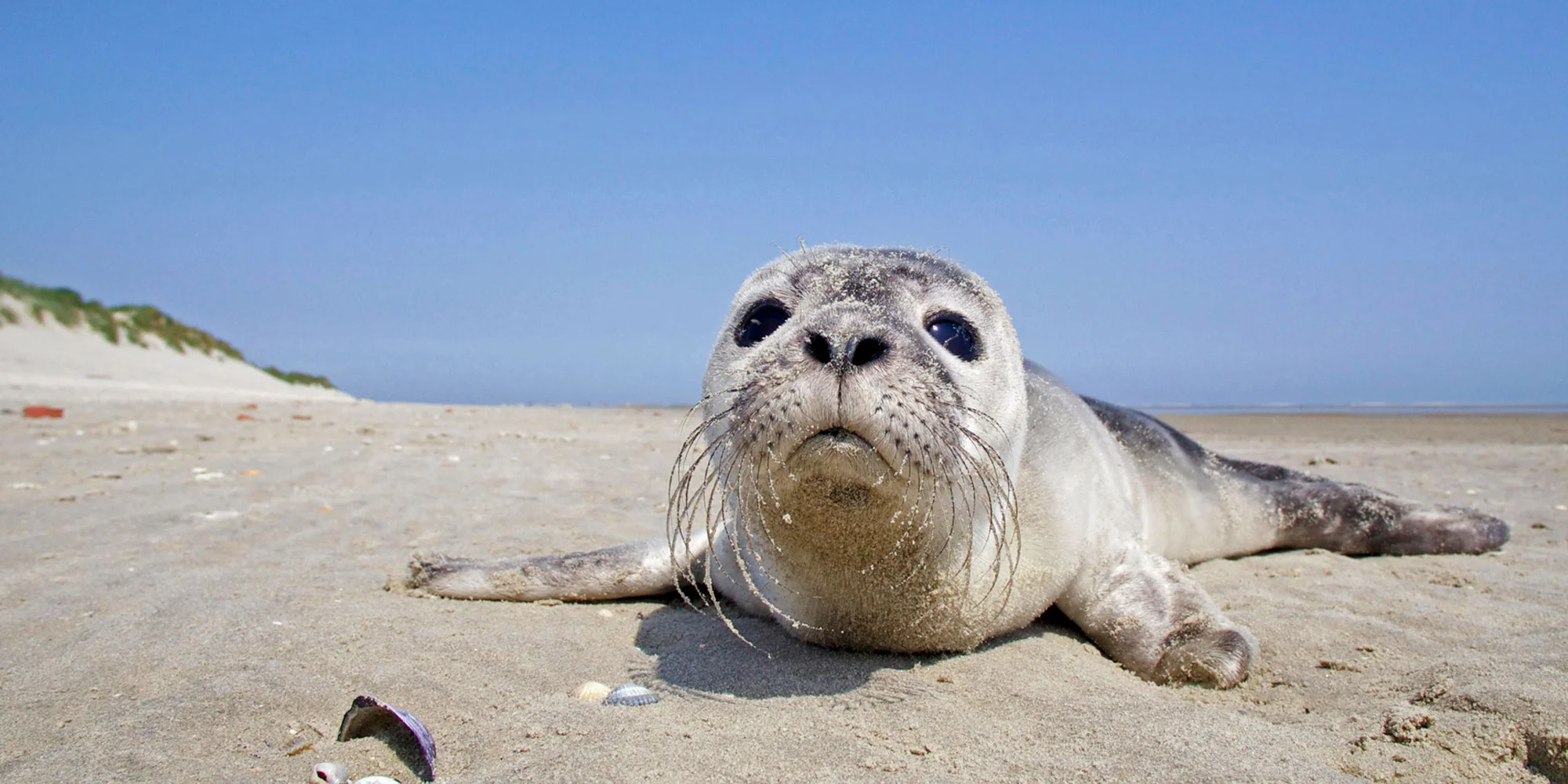 Cestovní kancelář CK2 - ventip.cz