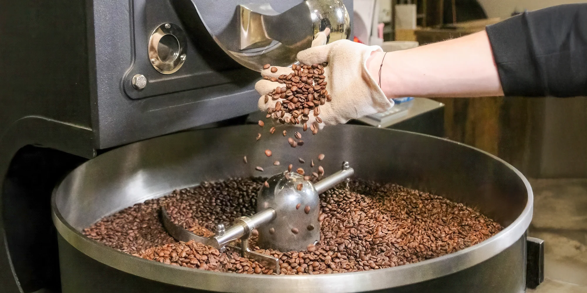 MOTMOT coffee roasters - ventip.cz