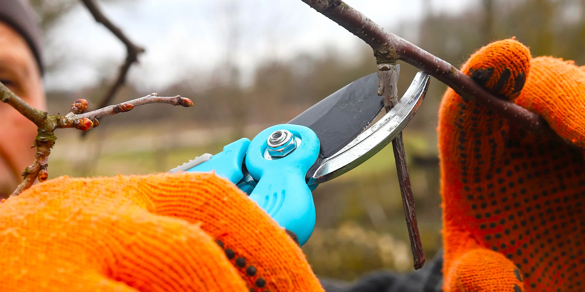 Život v sadu - ventip.cz