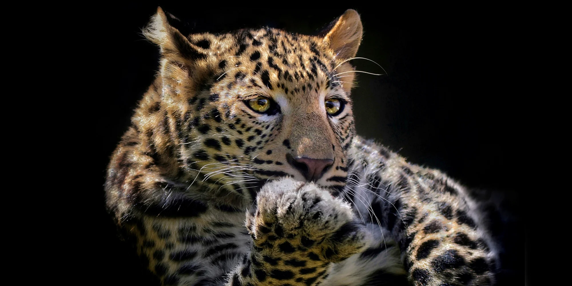 Zoo Plasy - ventip.cz