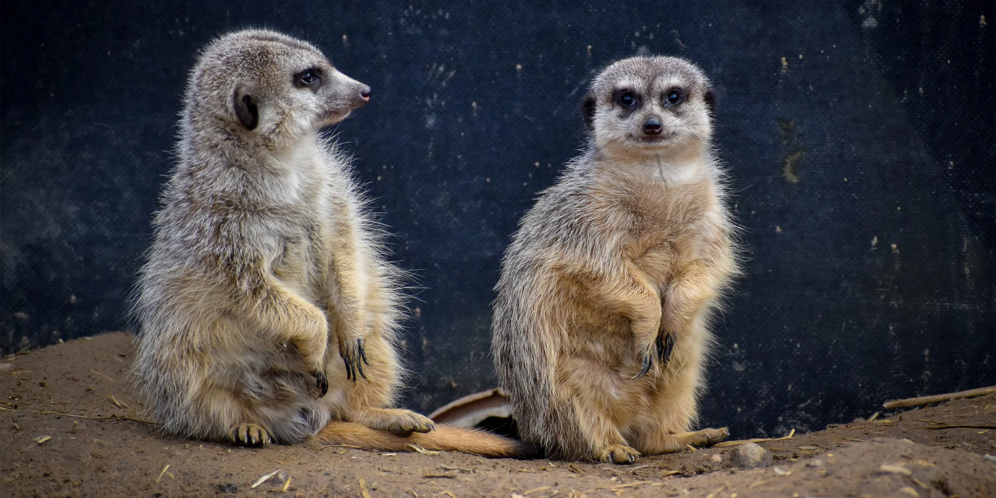 Zoologická zahrada Tábor - ventip.cz