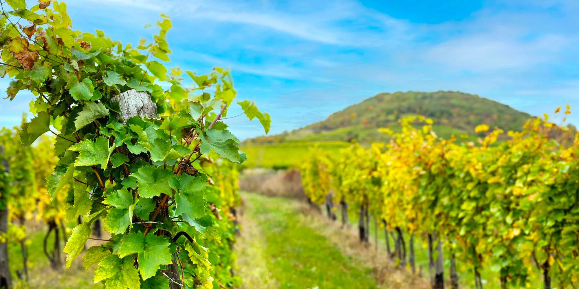 CK HOŠKA TOUR s.r.o. - ventip.cz