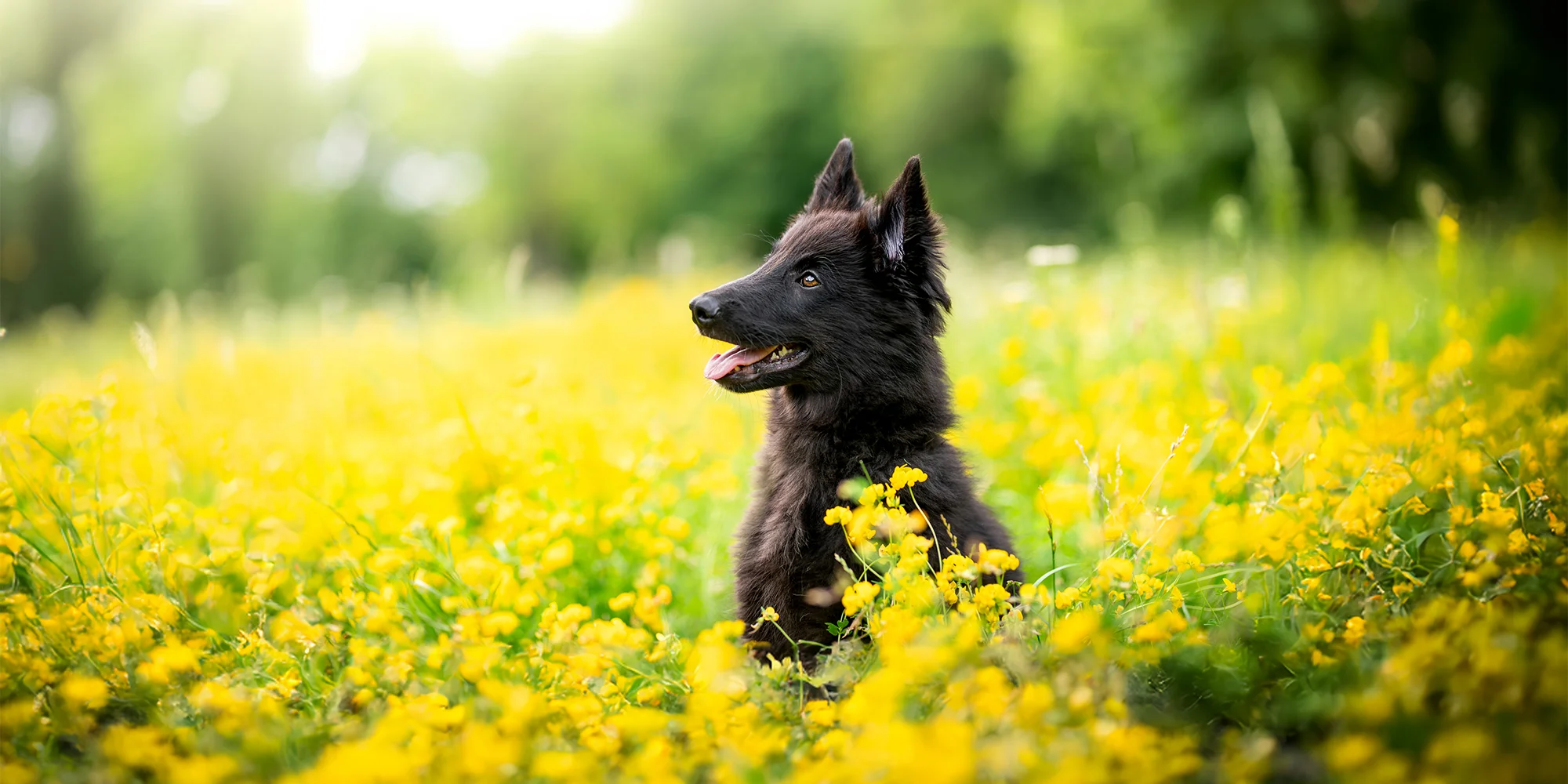 Děčín - ventip.cz