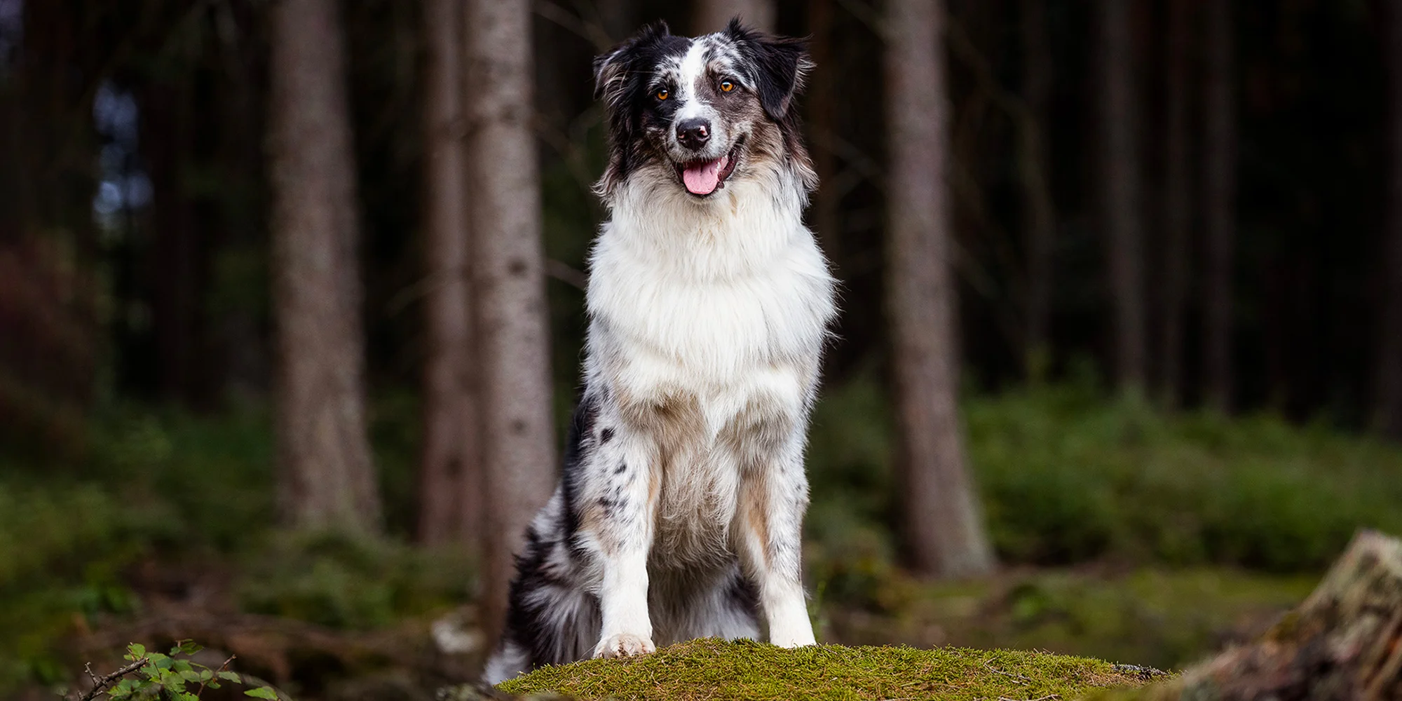 Foto K-K - ventip.cz