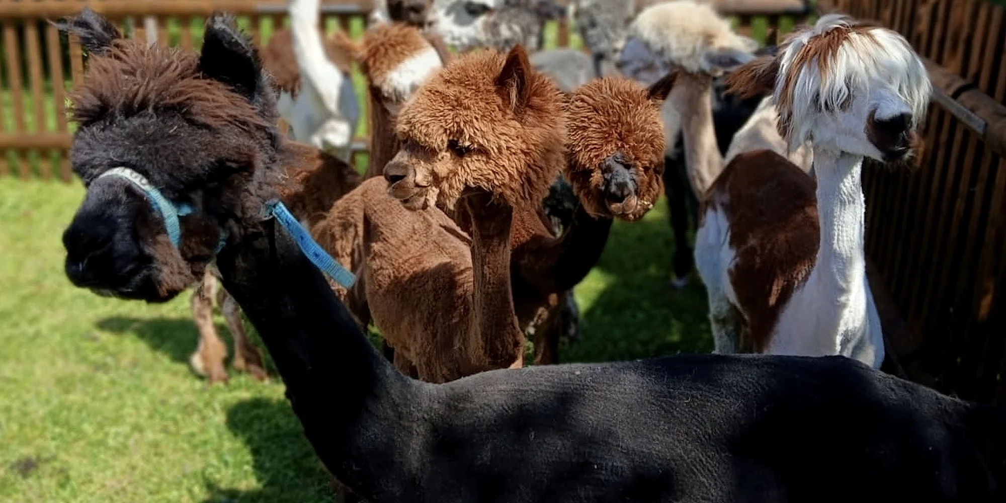 Restaurace U Jezera - ventip.cz