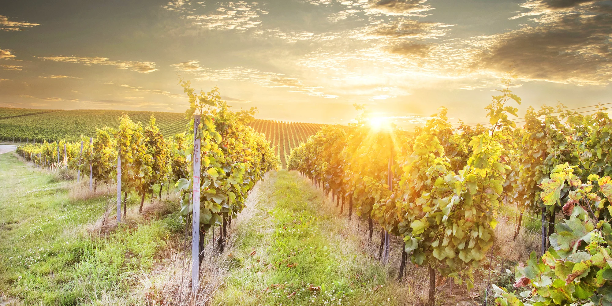 Penzion u Palečků - ventip.cz