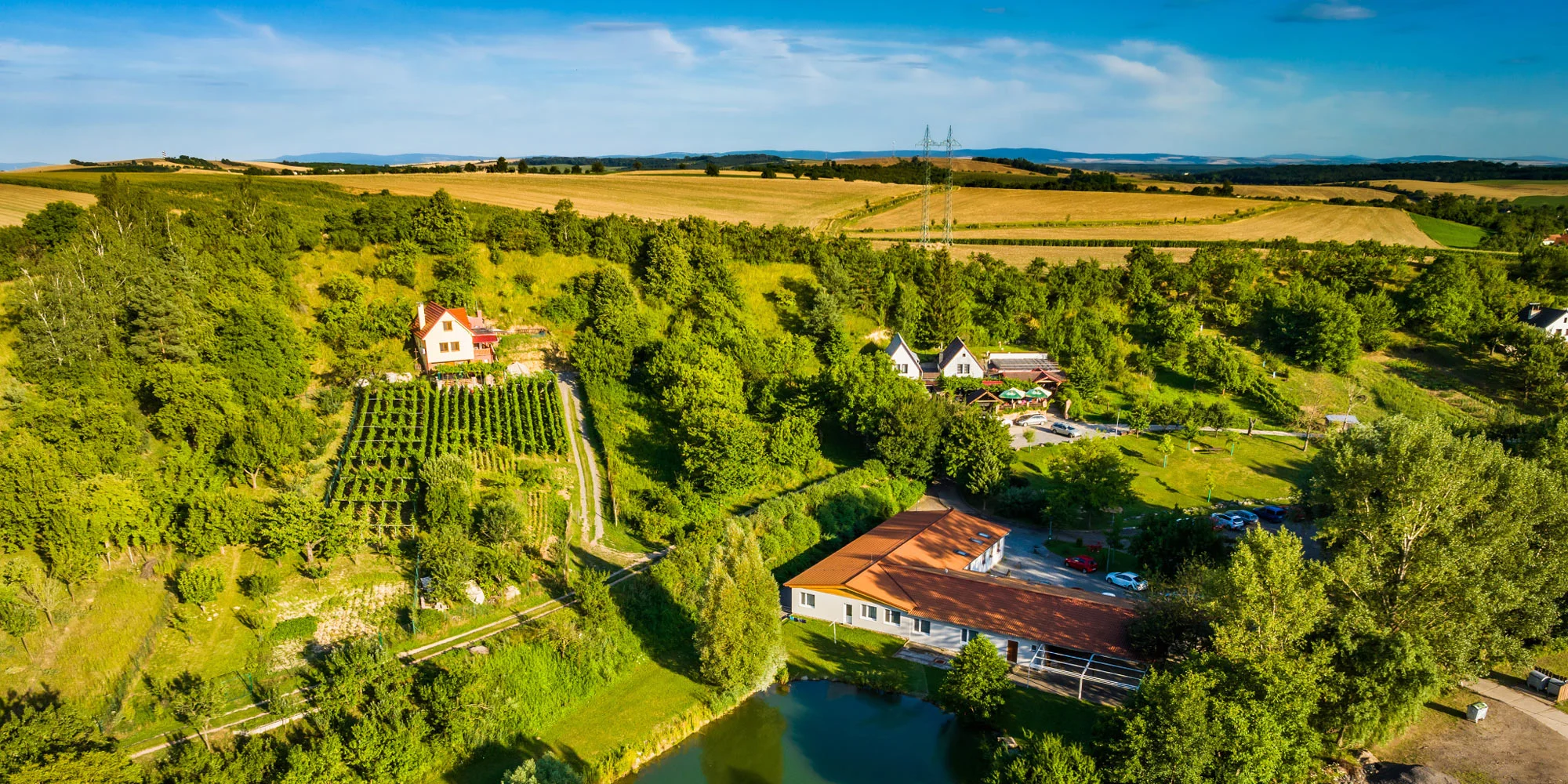 Vinný sklep Krýsa - ventip.cz