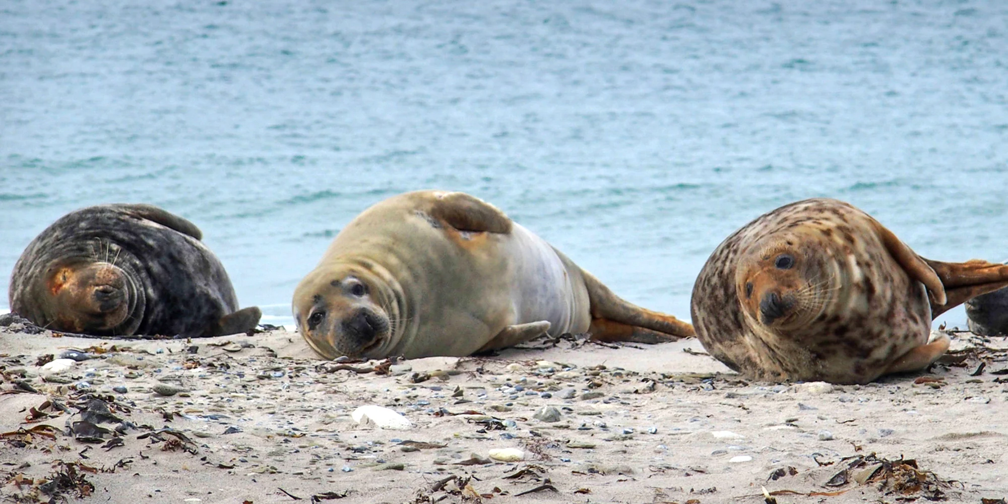 CK Experitour - ventip.cz