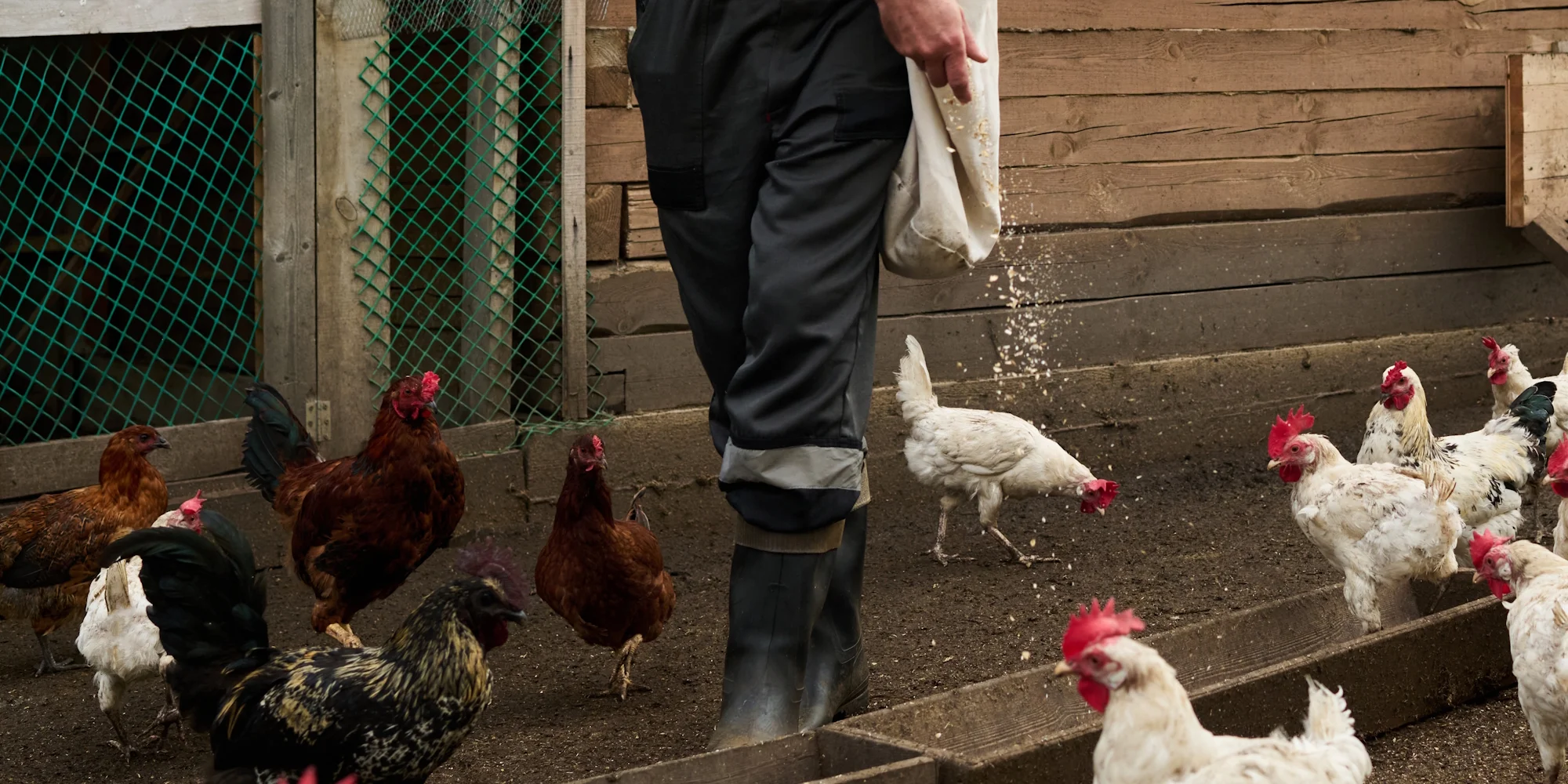 Farmička Záhoří - ventip.cz