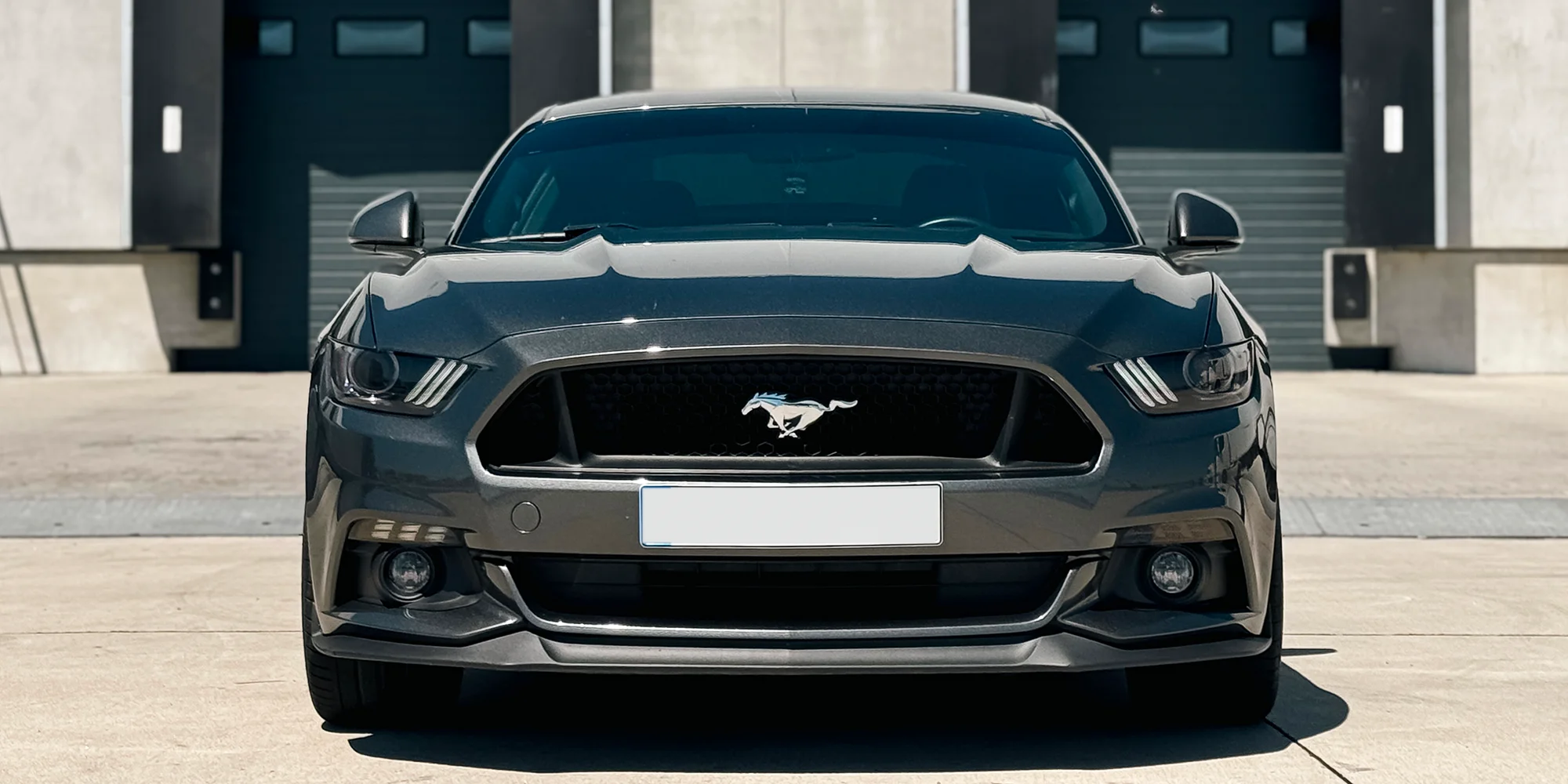 Ford Mustang GT 5.0 V8 - celý den i týden - ventip.cz