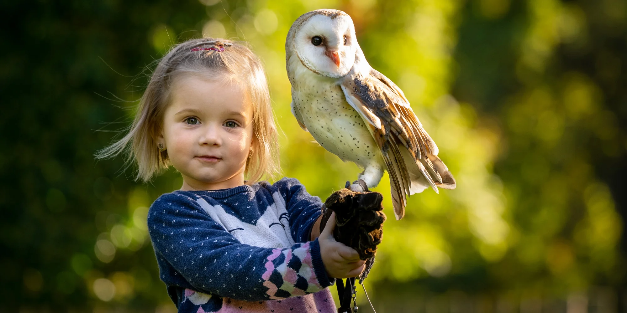 Obora Žleby - ventip.cz