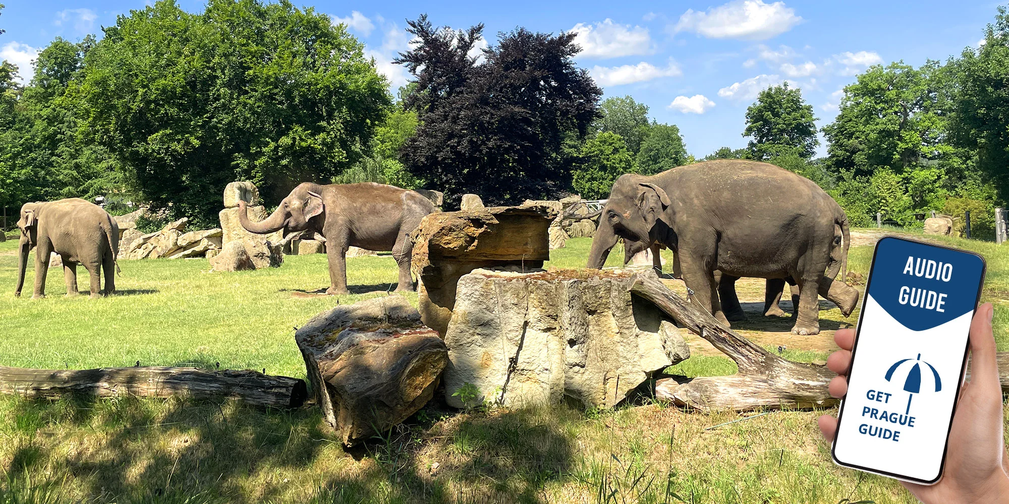 ZOO Praha - ventip.cz