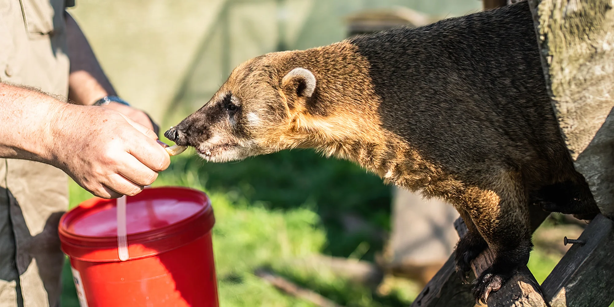 Zoologická zahrada Tábor - ventip.cz