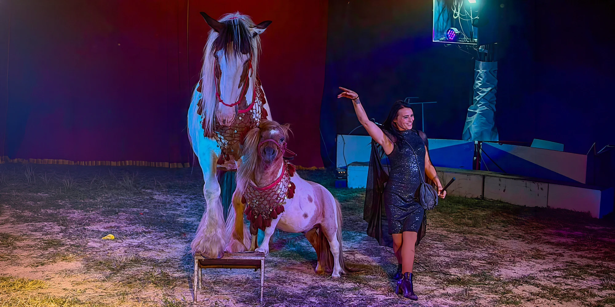 Cirkus Berosini - Prostějov - ventip.cz