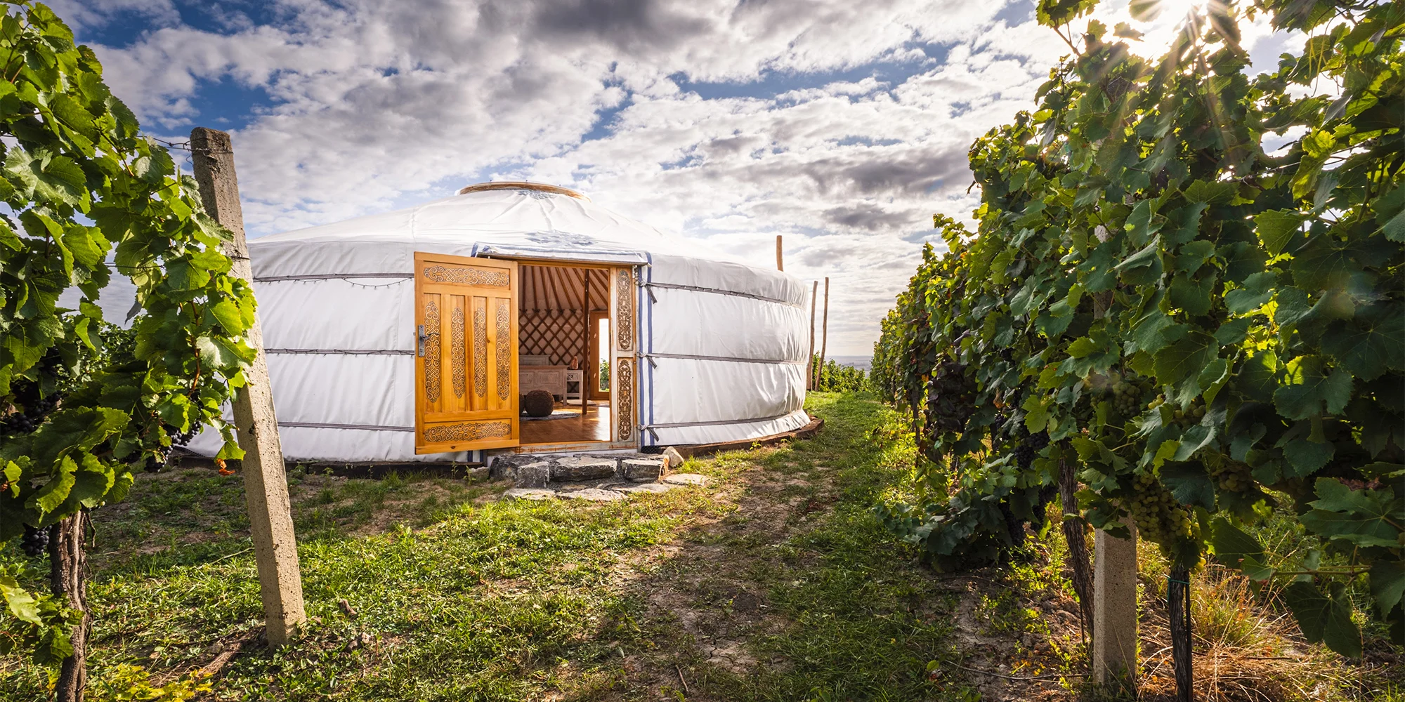 Glamping ve vinici - Jurty Marcipán - ventip.cz