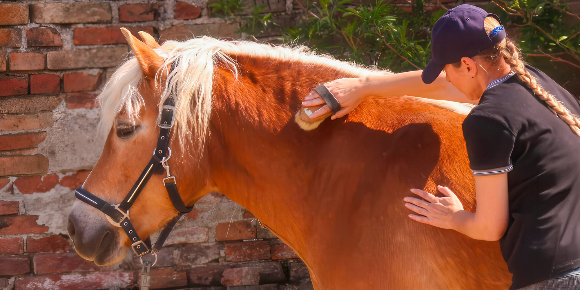 Jízda na koni - NH Stables - ventip.cz