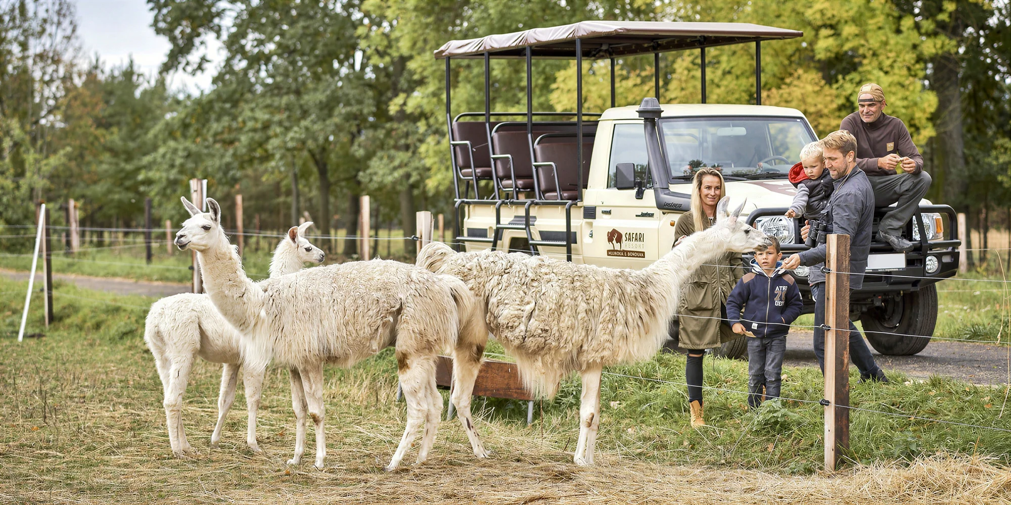 Safari Park - ventip.cz