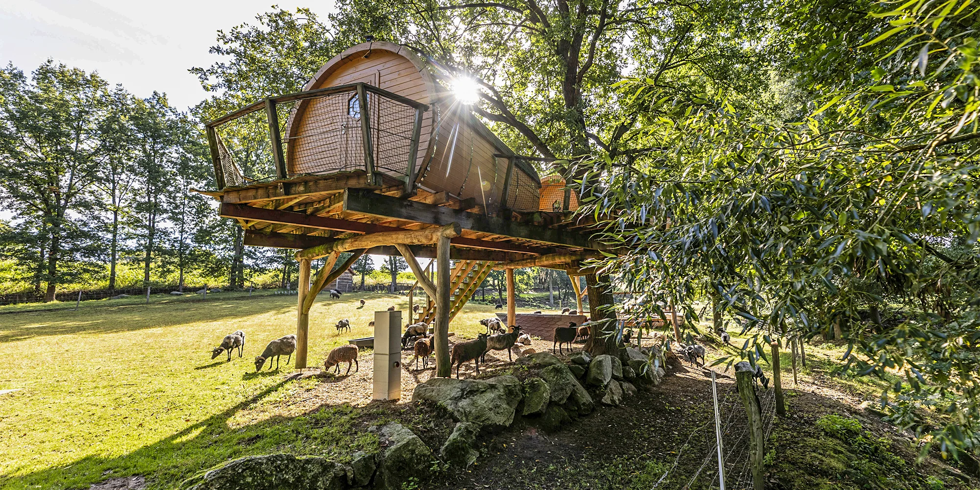 Viking Houses - ventip.cz